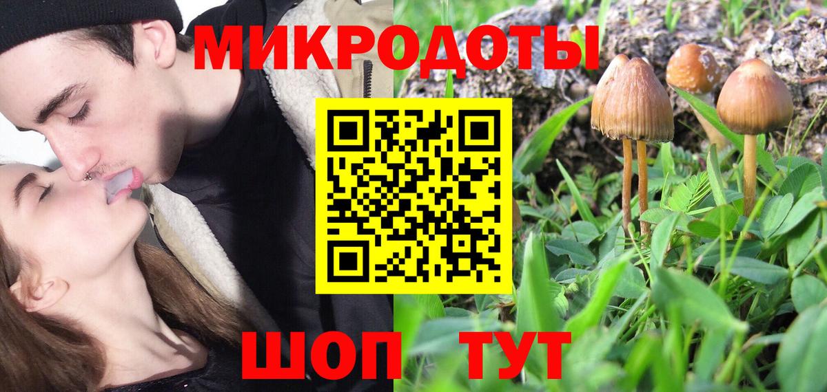 Псилоцибиновые грибы Psilocybe Новокубанск