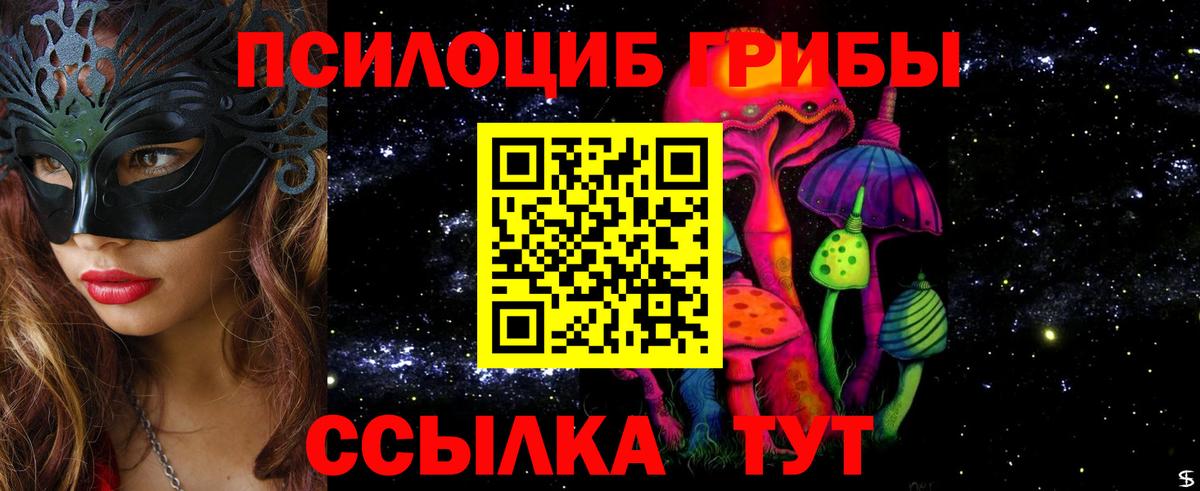 Галлюциногенные грибы Psilocybine cubensis  Вход с VPN  Новокубанск 