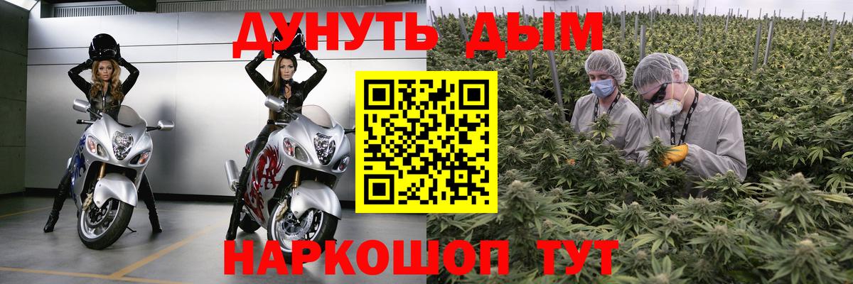 Новокубанск  Бошки марихуана конопля  Канабис OG Kush  Вход с VPN  Конопля Amnesia 